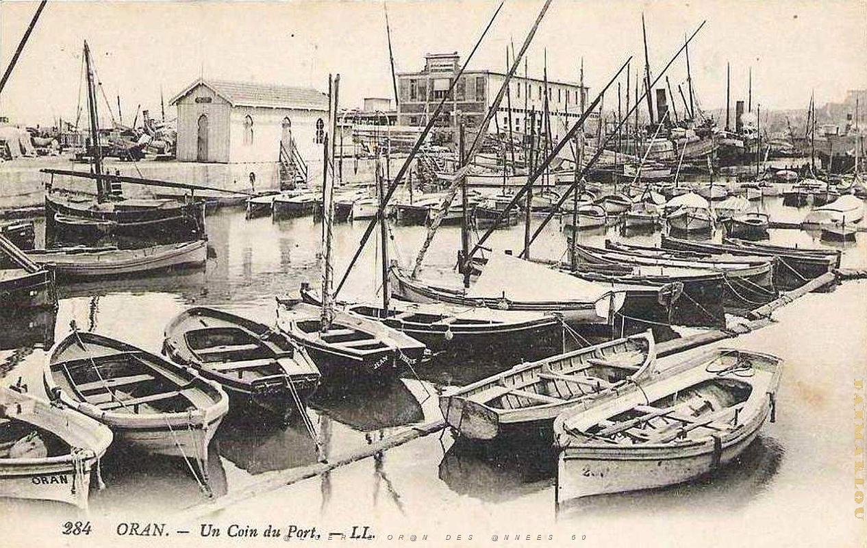 PO e- 267.jpg